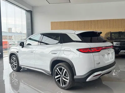 2026 BYD Song L DM-i DM-i Smart Edition 130KM Superior, фото 4, лот 10273302
