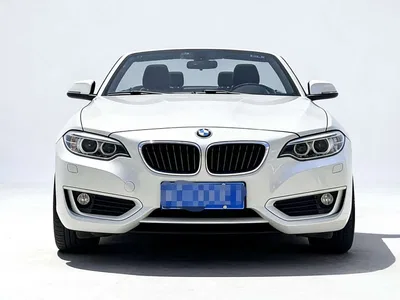 2015 BMW 2 Series (Import) 218i Convertible Coupe, фото 2, лот 10238459