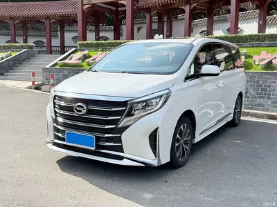 2021 GAC Trumpchi Trumpchi M8 Leading Show Series 390T Luxury Edition, фото 1, лот 10598531