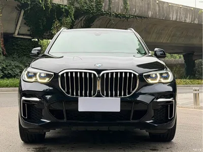 2022 BMW X5 Facelift xDrive 30Li Premium M Sport Package, фото 2, лот 10463080