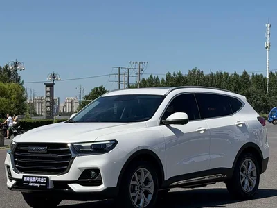 2021 Haval H6 Model National Trend Edition 1.5T Auto Champion, фото 1, лот 10300742