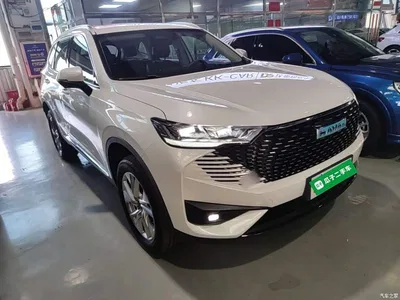 2023 Haval H6 New Energy DHT-PHEV 55KM Joy Ride Edition, фото 4, лот 10302428