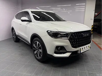 2023 Haval H6 National Trend Edition 1.5T Automatic Champion, фото 3, лот 10282916
