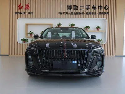 2025 Hongqi H5 2.0T Automatic Mystic Shadow 2 Million Edition, фото 3, лот 11133088