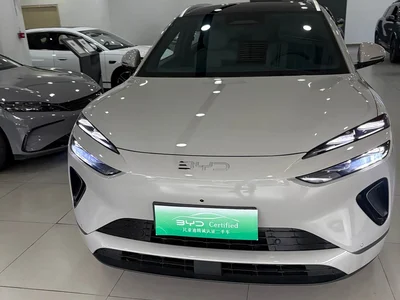 2025 BYD Sealion 06 New Energy DM-i 170 Pilot Pro Edition, фото 2, лот 10274076
