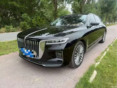 2020 Hongqi H9 2.0T Smart Connection Qi Xiang Edition, фото 1, лот 10285473