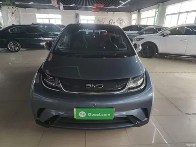 2024 BYD Dolphin Glory Edition 420km Freedom Edition, фото 3, лот 11513013