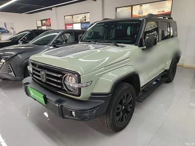 2021 Tank 300 Urban Edition 2.0T Stylish, фото 1, лот 11133754
