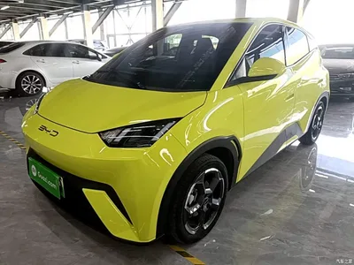2024 BYD Seagull Glory Edition 305km Freedom Edition, фото 1, лот 11301968