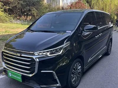 2019 SAIC Maxus Maxus G20 Launch Edition 2.0T Auto Premium China V, фото 1, лот 11158942