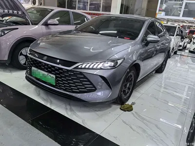 2025 BYD Qin PLUS DM-i Smart Drive 55KM Leader, фото 1, лот 11192553