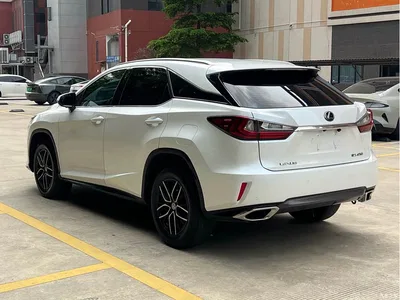 2016 Lexus RX 300 2WD Elite Edition (China V), фото 3, лот 10312679