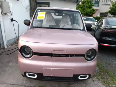 2025 Geely Galaxy Panda mini 210km Vitality Bear, фото 3, лот 10433744