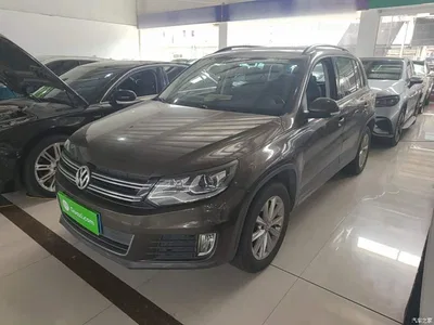 2016 Volkswagen Tiguan 280TSI Automatic 2WD Silk Road Comfort, фото 2, лот 10573759