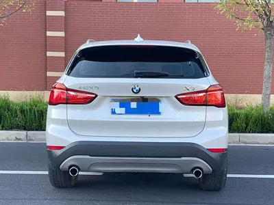 2018 BMW X1 sDrive20Li Leading Model, фото 4, лот 10478855