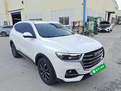 2023 Haval H6 National Trend Edition 1.5T Automatic Urban, фото 4, лот 10285575