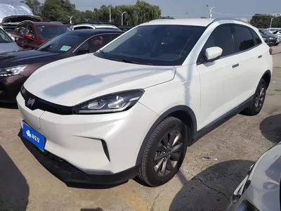 2018 Weltmeister EX5 400 Lite Explorer Edition, фото 1, лот 11216599