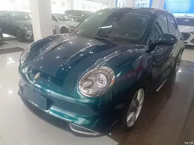 2023 Ora Good Cat 401km Standard Range Comfort LFP, фото 1, лот 10330797