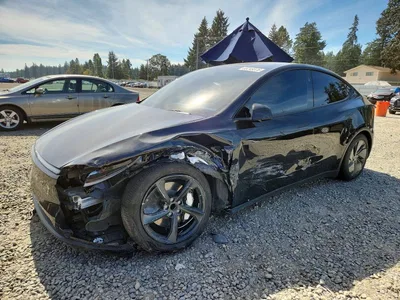 2026 TESLA MODEL Y, фото 1, лот 10971132