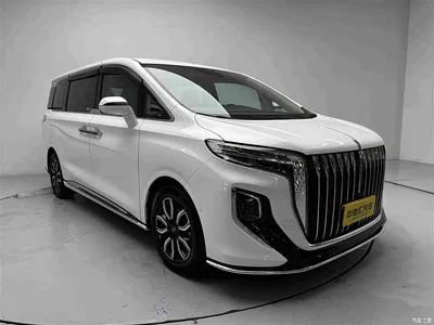 2023 Hongqi HQ9 2.0T Smart Connect Flagship, фото 3, лот 10626254