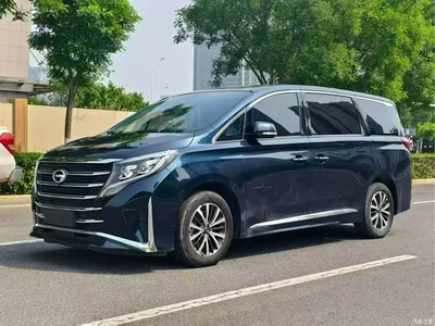 2023 GAC Trumpchi Trumpchi M8 Leading Series 390T Prestige Edition, фото 1, лот 11194119