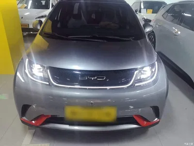 2021 BYD Dolphin Model 405km Fashion Edition, фото 3, лот 10684716