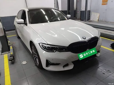 2020 BMW 3 Series 325Li Launch Edition, фото 4, лот 10481513