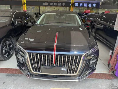 2023 Hongqi H5 2.0T Auto Smart Connect Flag Comfort, фото 2, лот 10816583
