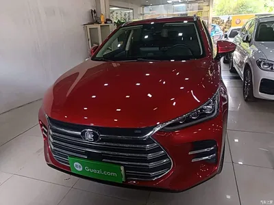2019 BYD Tang New Energy DM 2.0T AWD Intelligent Sharing Creation 7-seater China VI, фото 3, лот 10895410