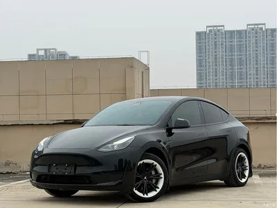 2022 Tesla Model Y Facelift Rear-Wheel Drive Version, фото 3, лот 11134136