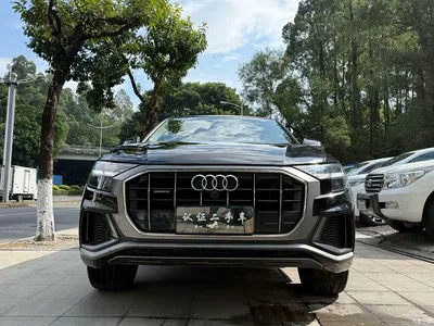 2022 Audi Q8 55 TFSI Luxury Dynamic, фото 3, лот 10473834