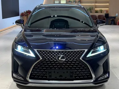 2020 Lexus RX 300 2WD Elite Edition China VI, фото 2, лот 10314357