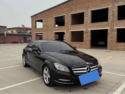 2012 Mercedes-Benz CLS 300 CGI, фото 1, лот 10306903