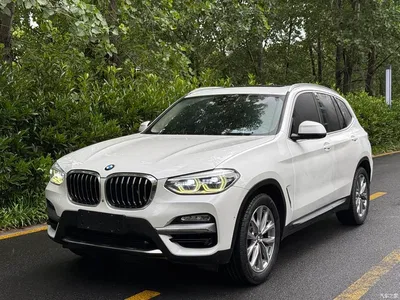 2018 BMW X3 xDrive25i Luxury Package China V, фото 1, лот 10461095
