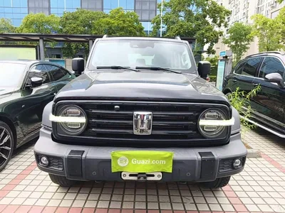 2021 Tank 300 Off-road Version 2.0T Conqueror, фото 3, лот 11095156