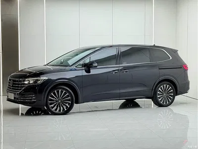 2024 Volkswagen Viloran 380TSI Executive Edition, фото 1, лот 10415830