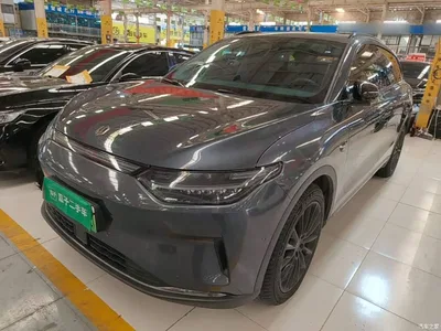 2023 Leapmotor C11 Pure Electric 580 AWD Performance Edition, фото 2, лот 11397577