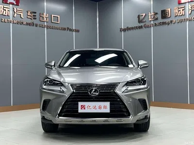 2020 Lexus NX 200 FWD Fengyi Edition China VI, фото 2, лот 10316545