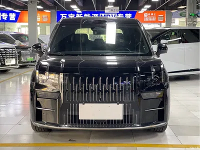 2024 ZEEKR 009 7-Seat Aisle AWD Version 108kWh, фото 2, лот 10291646