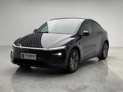 2025 Tesla Model Y Rear-Wheel Drive, фото 1, лот 11199405