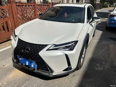 2020 Lexus UX 260h Explore Fun Edition China V, фото 1, лот 10438676