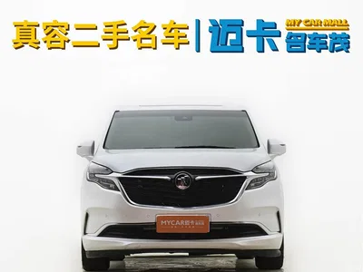 2021 Buick GL8 ES Landlord 653T Luxury, фото 3, лот 10612006