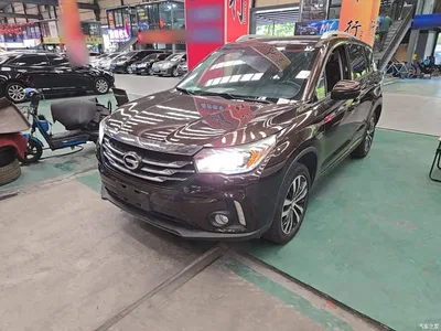2016 GAC Trumpchi Trumpchi GS4 235T G-DCT Luxury Edition, фото 2, лот 10421902