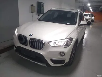 2019 BMW X1 sDrive18Li Premium Model, фото 2, лот 10467292