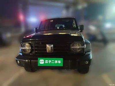 2021 Tank 300 Off-road Edition 2.0T Challenger, фото 2, лот 11141577