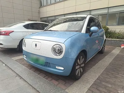 2021 Ora Black Cat 351km Standard Model, фото 2, лот 10769190