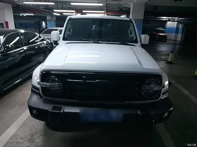 2024 Tank 300 2.0T Explorer, фото 3, лот 10345628