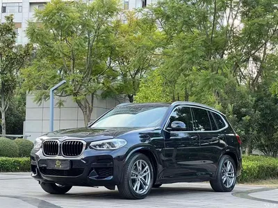 2020 BMW X3 xDrive28i M Sport Package, фото 1, лот 11073976