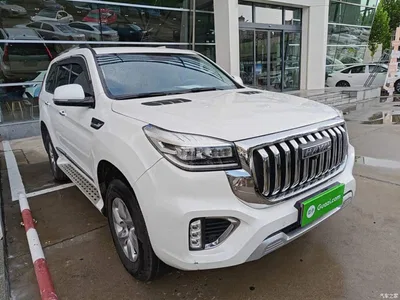 2022 Haval H9 2.0T Gasoline 4WD Elite 5-Seater, фото 4, лот 10285339