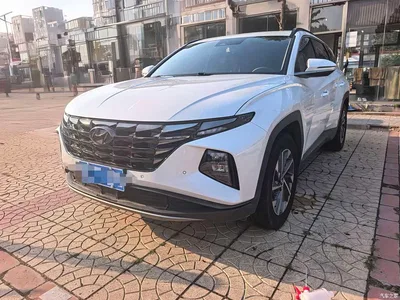 2022 Hyundai Tucson L 2.0L Hybrid Premium Edition, фото 1, лот 11239811